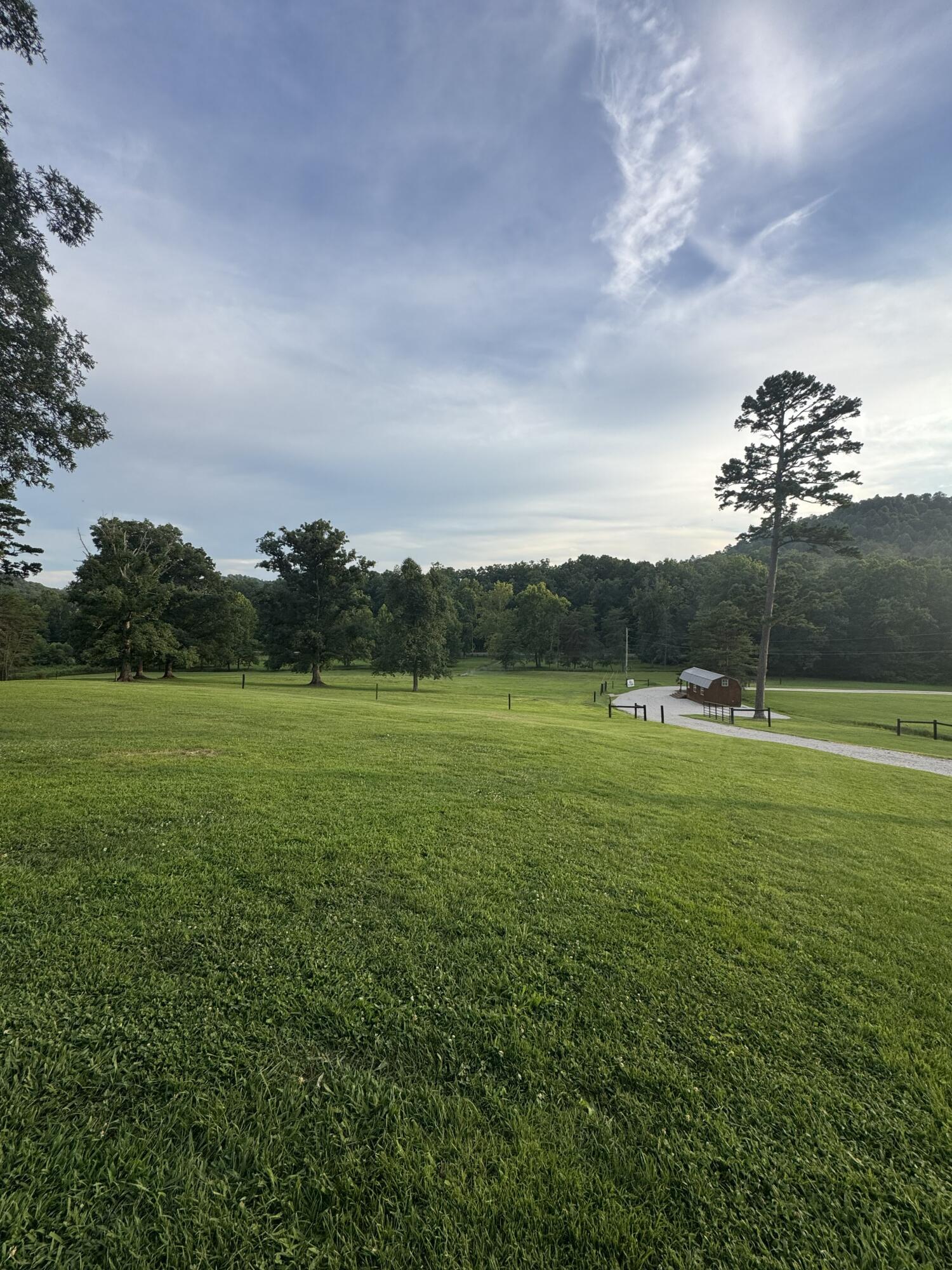 50 Caitlyn Court Property Photo 40