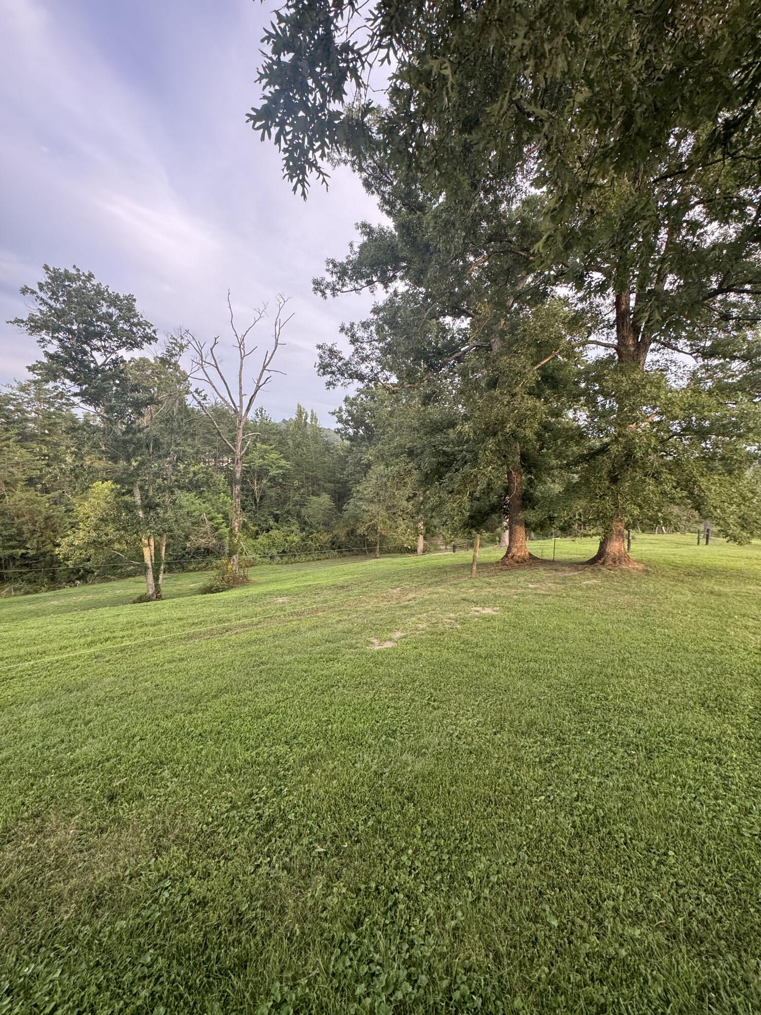 50 Caitlyn Court Property Photo 41