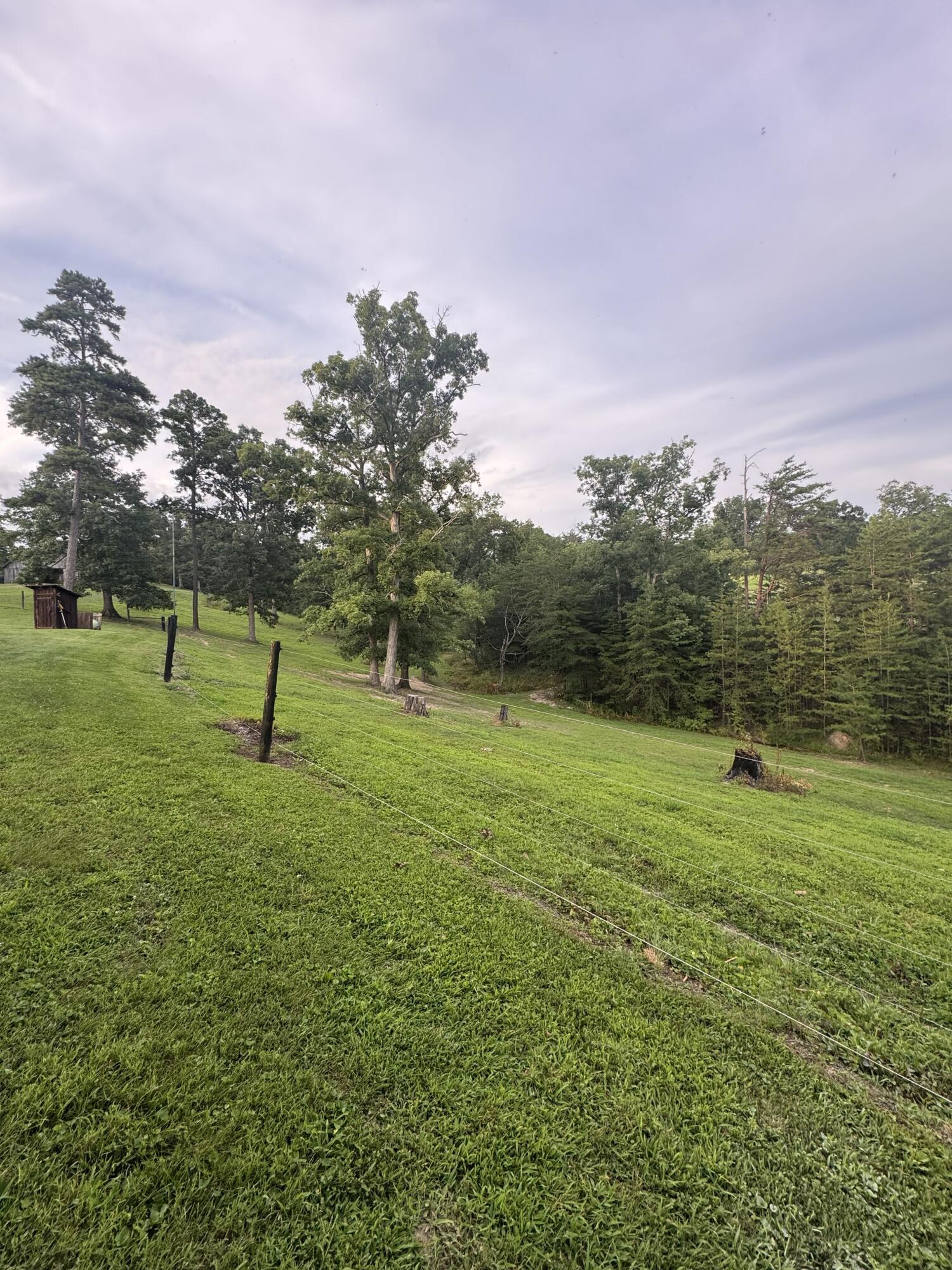 50 Caitlyn Court Property Photo 44