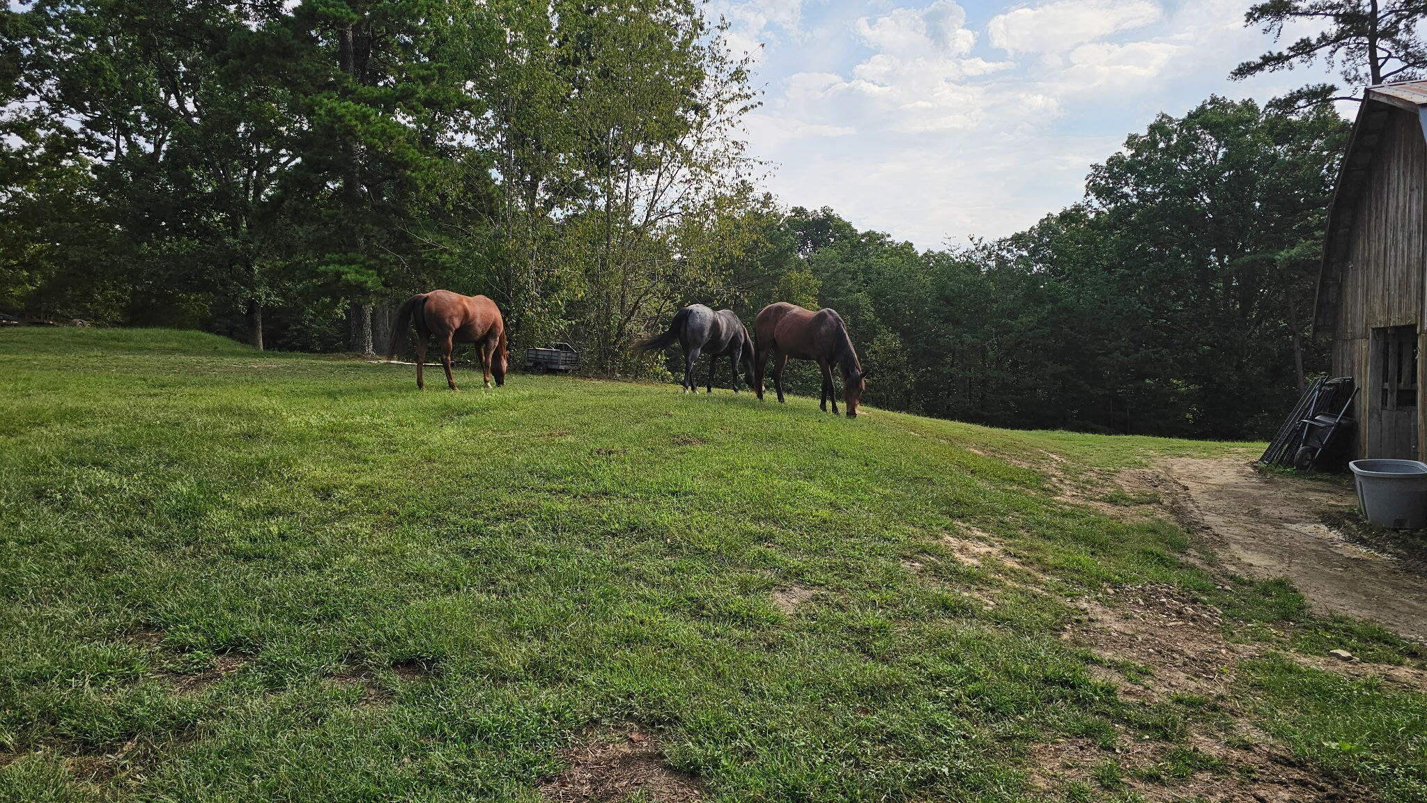 50 Caitlyn Court Property Photo 53