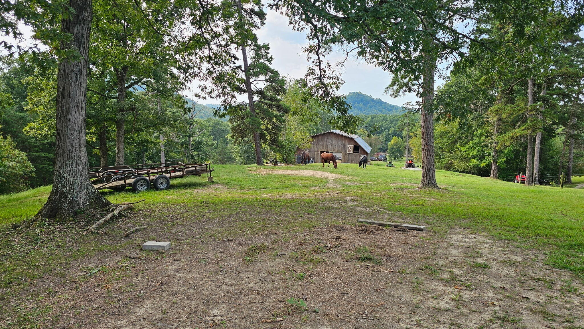 50 Caitlyn Court Property Photo 55