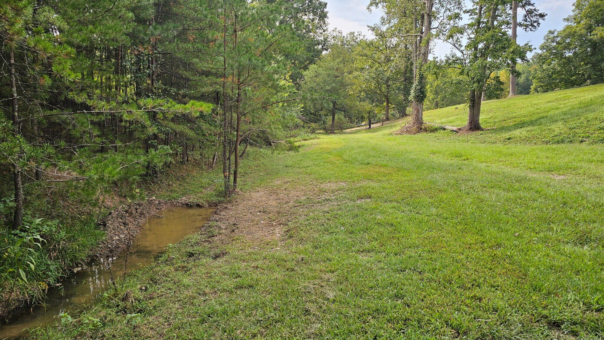 50 Caitlyn Court Property Photo 57