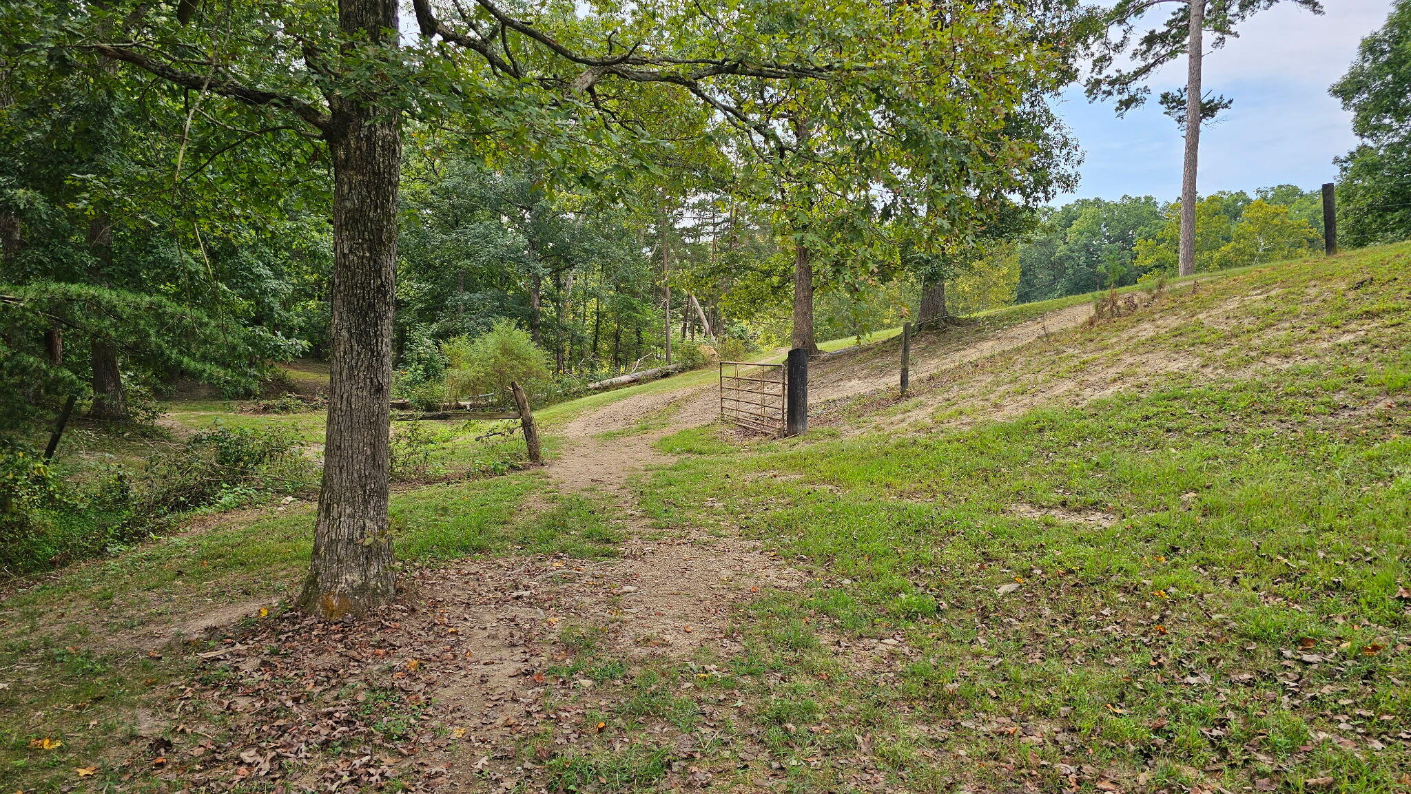 50 Caitlyn Court Property Photo 58