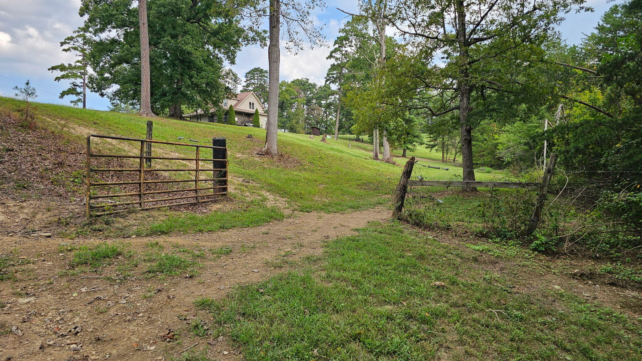 50 Caitlyn Court Property Photo 59