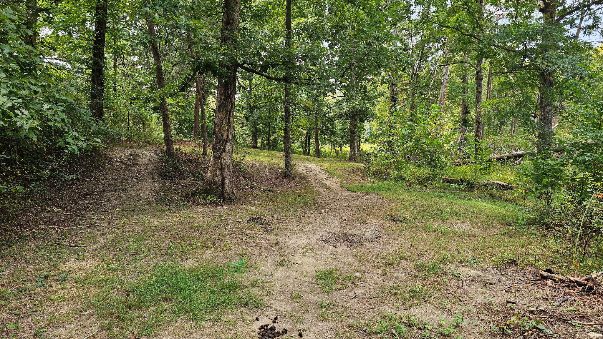 50 Caitlyn Court Property Photo 60