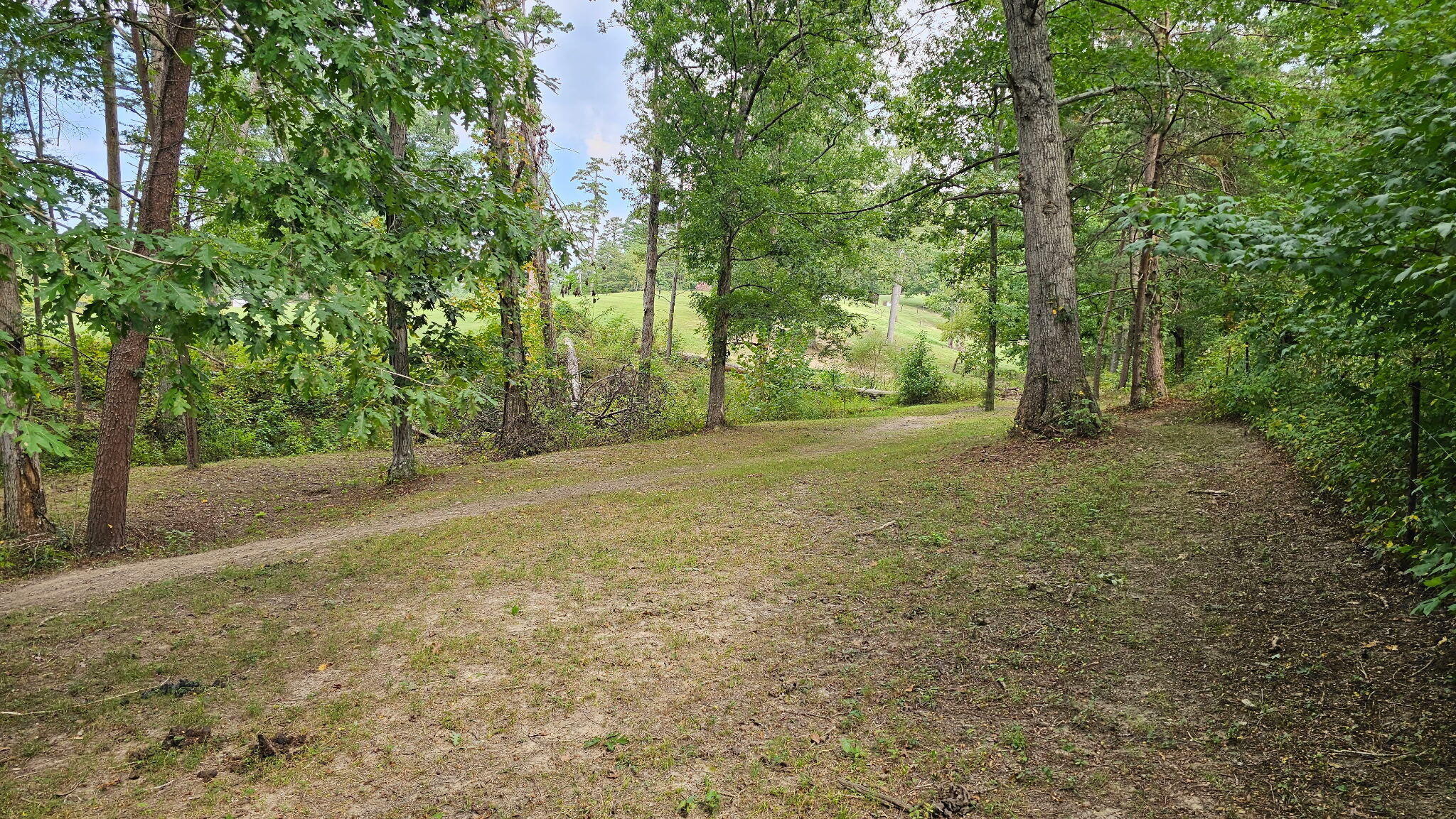 50 Caitlyn Court Property Photo 61