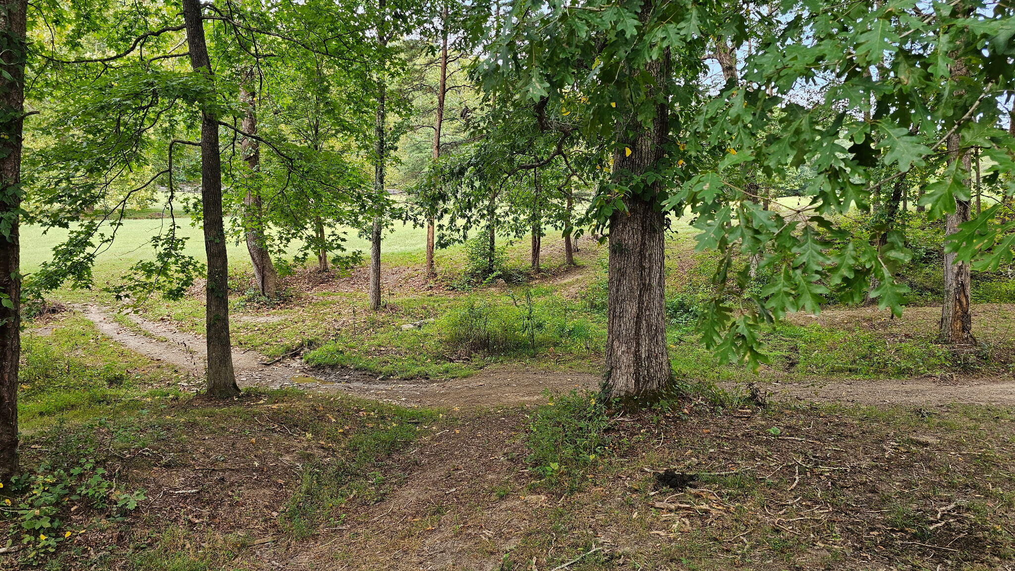 50 Caitlyn Court Property Photo 62