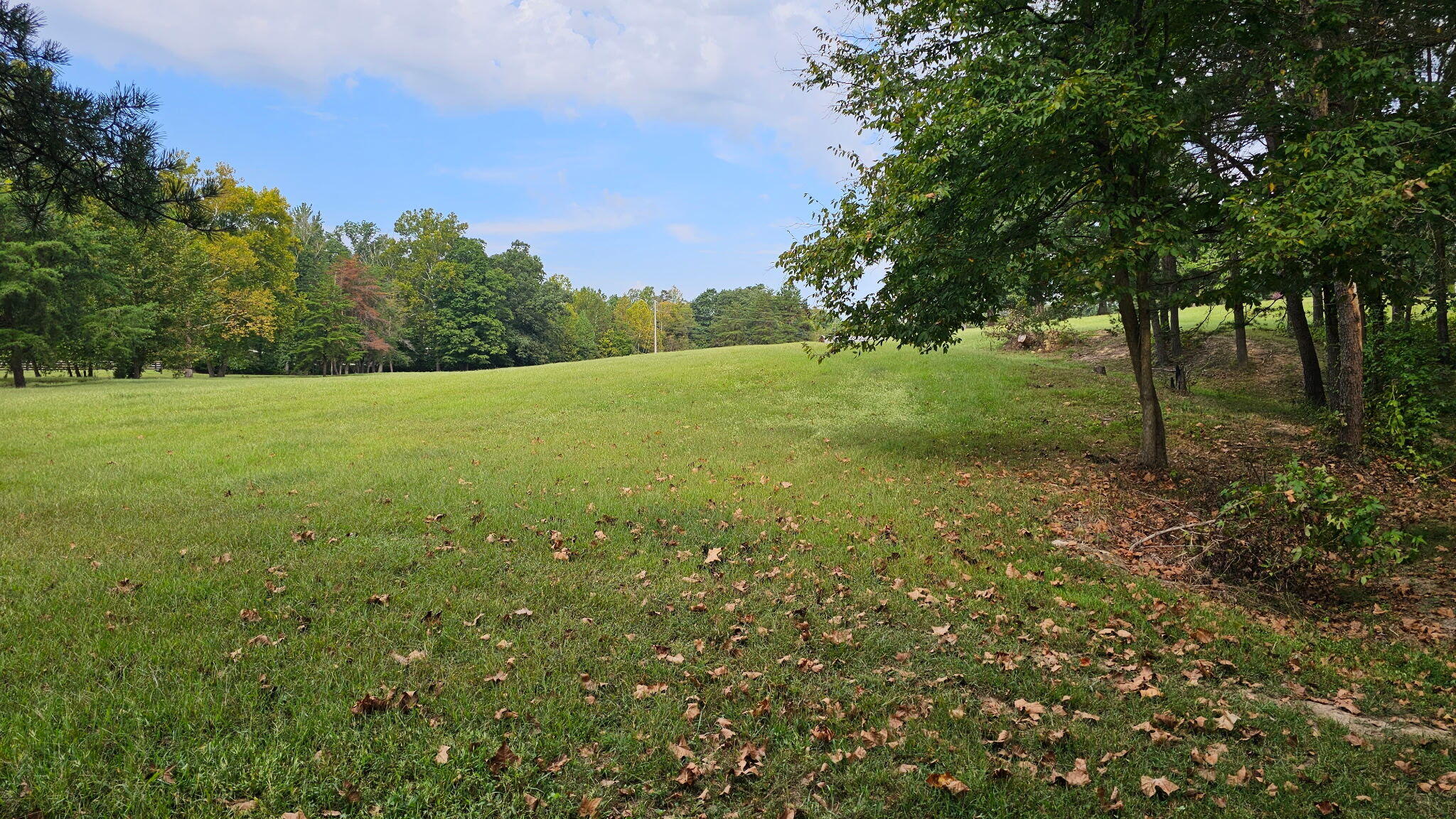 50 Caitlyn Court Property Photo 63