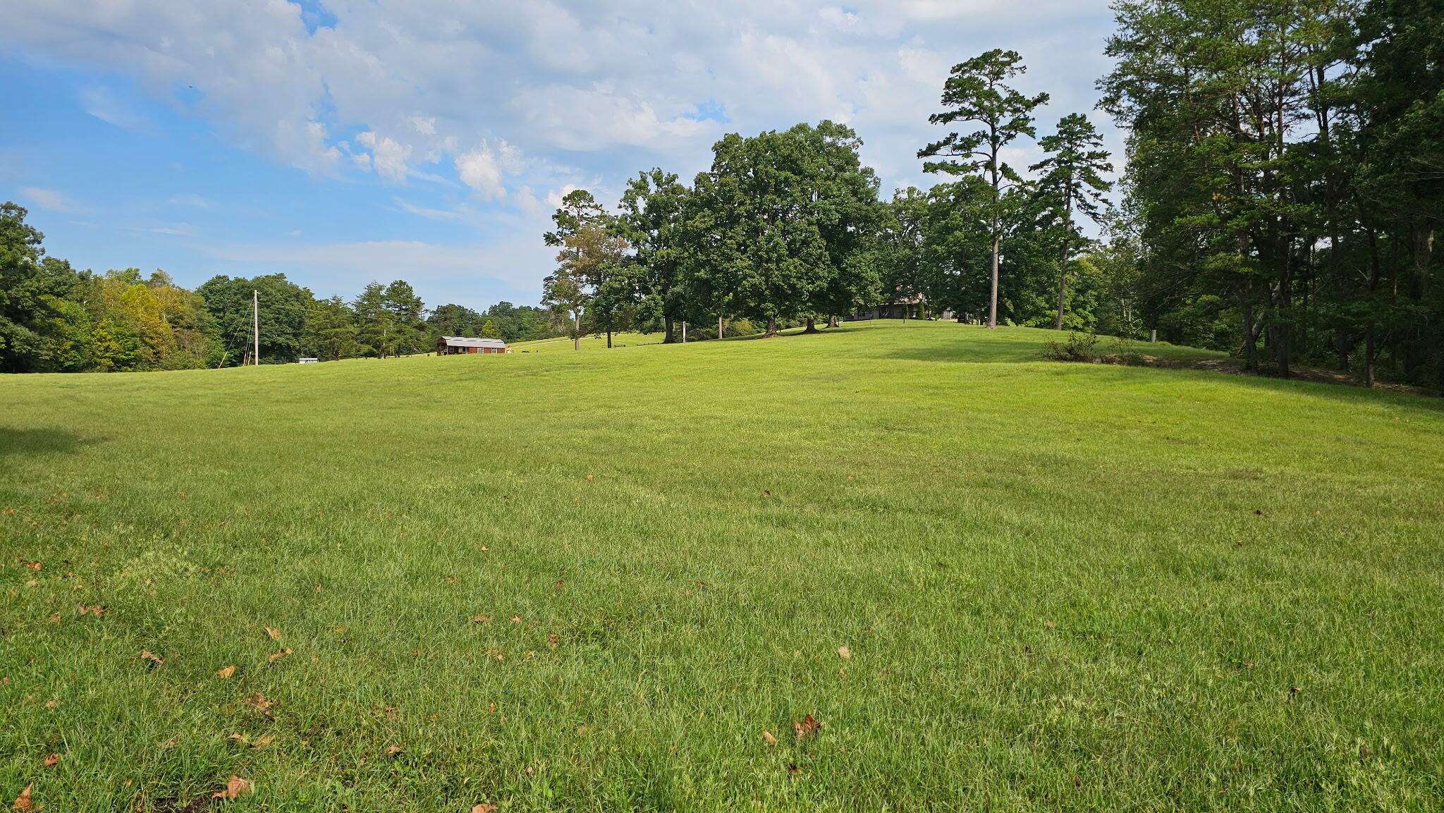 50 Caitlyn Court Property Photo 64