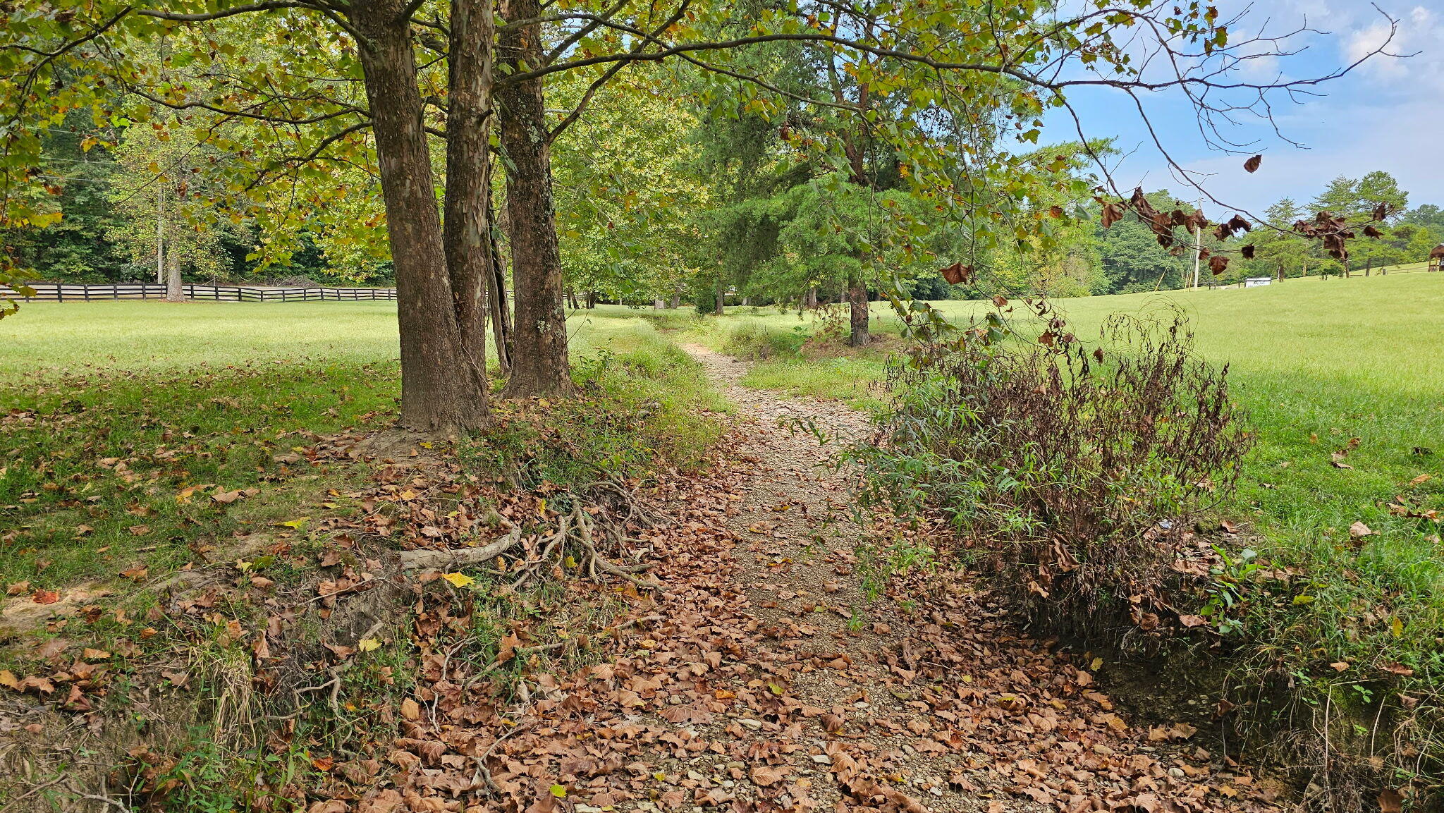 50 Caitlyn Court Property Photo 65