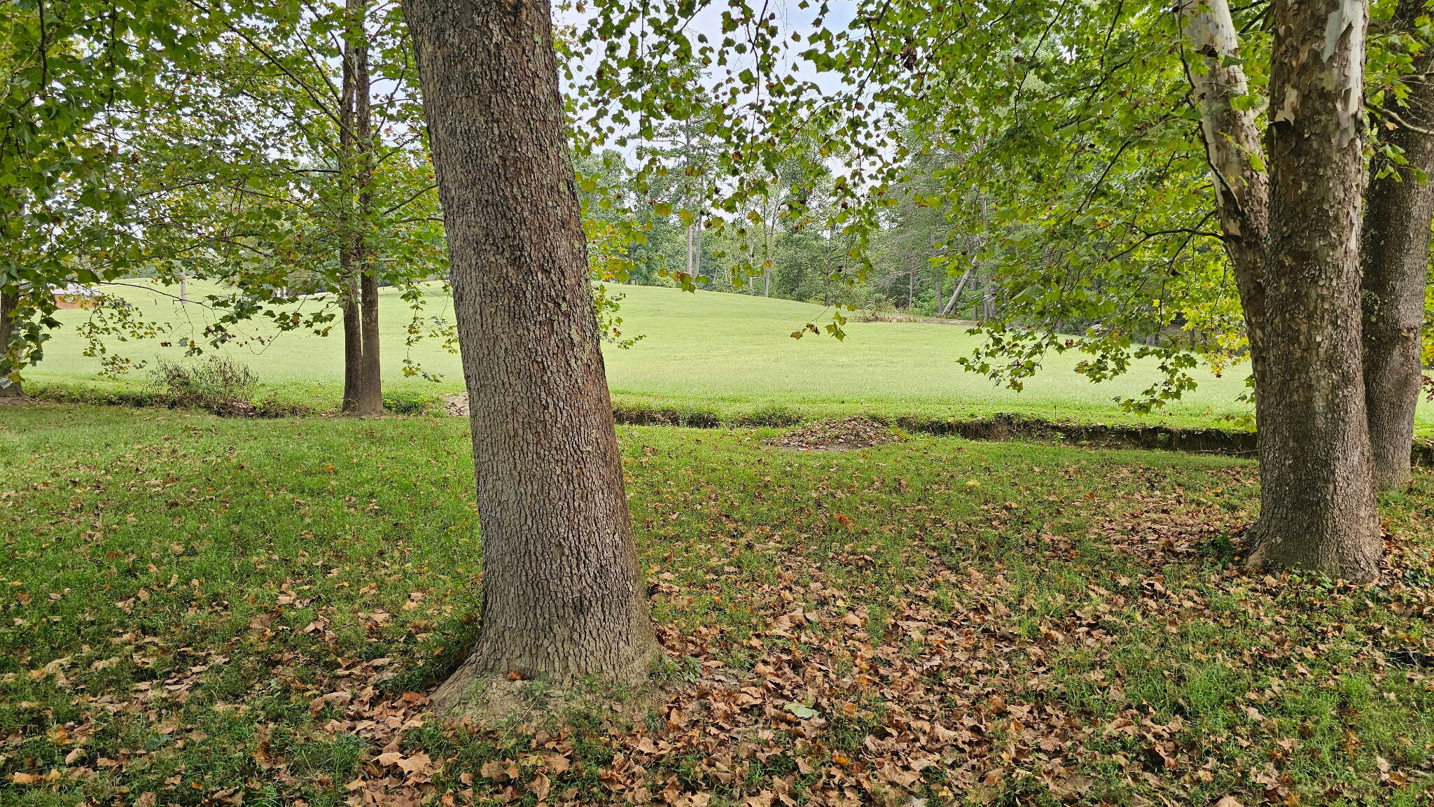50 Caitlyn Court Property Photo 66