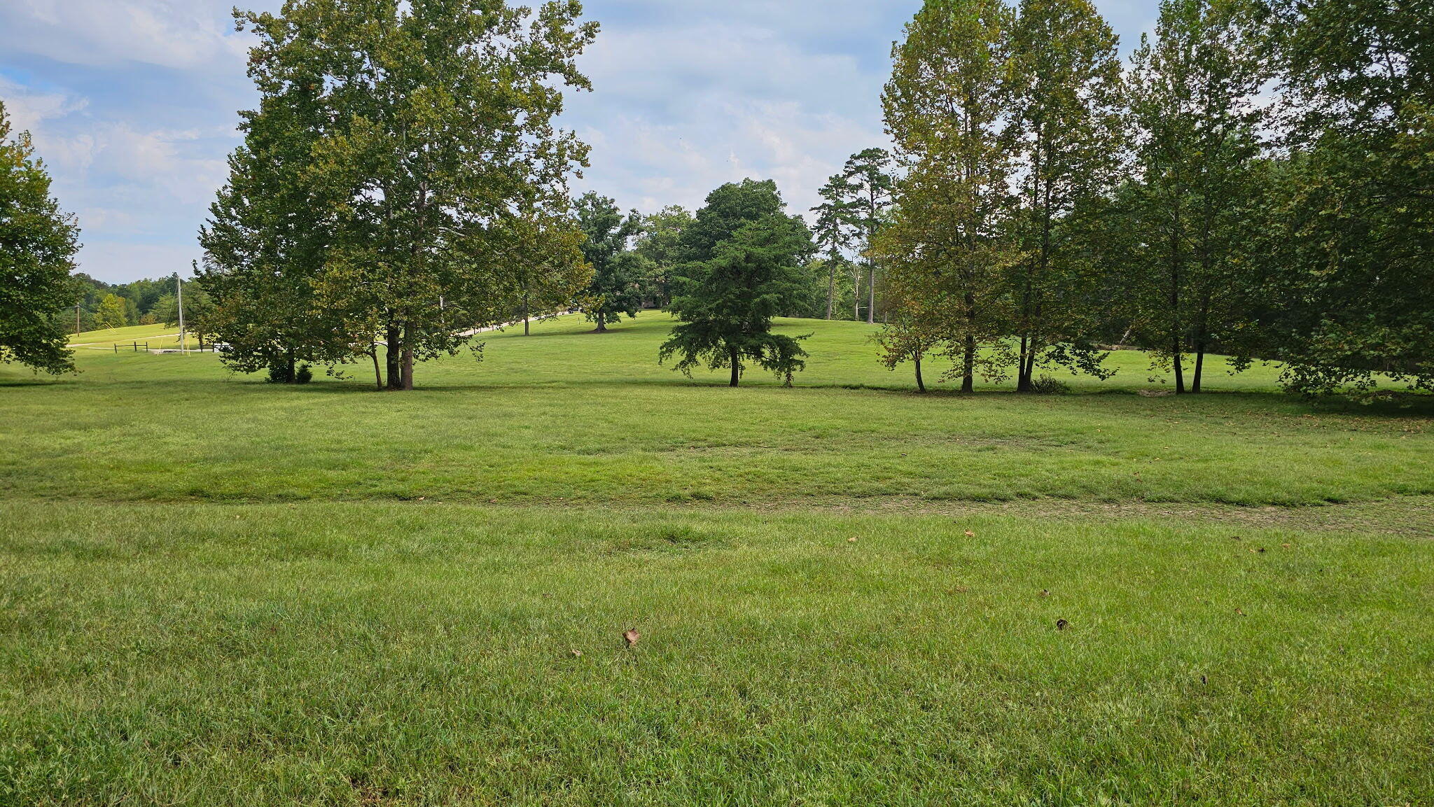 50 Caitlyn Court Property Photo 68
