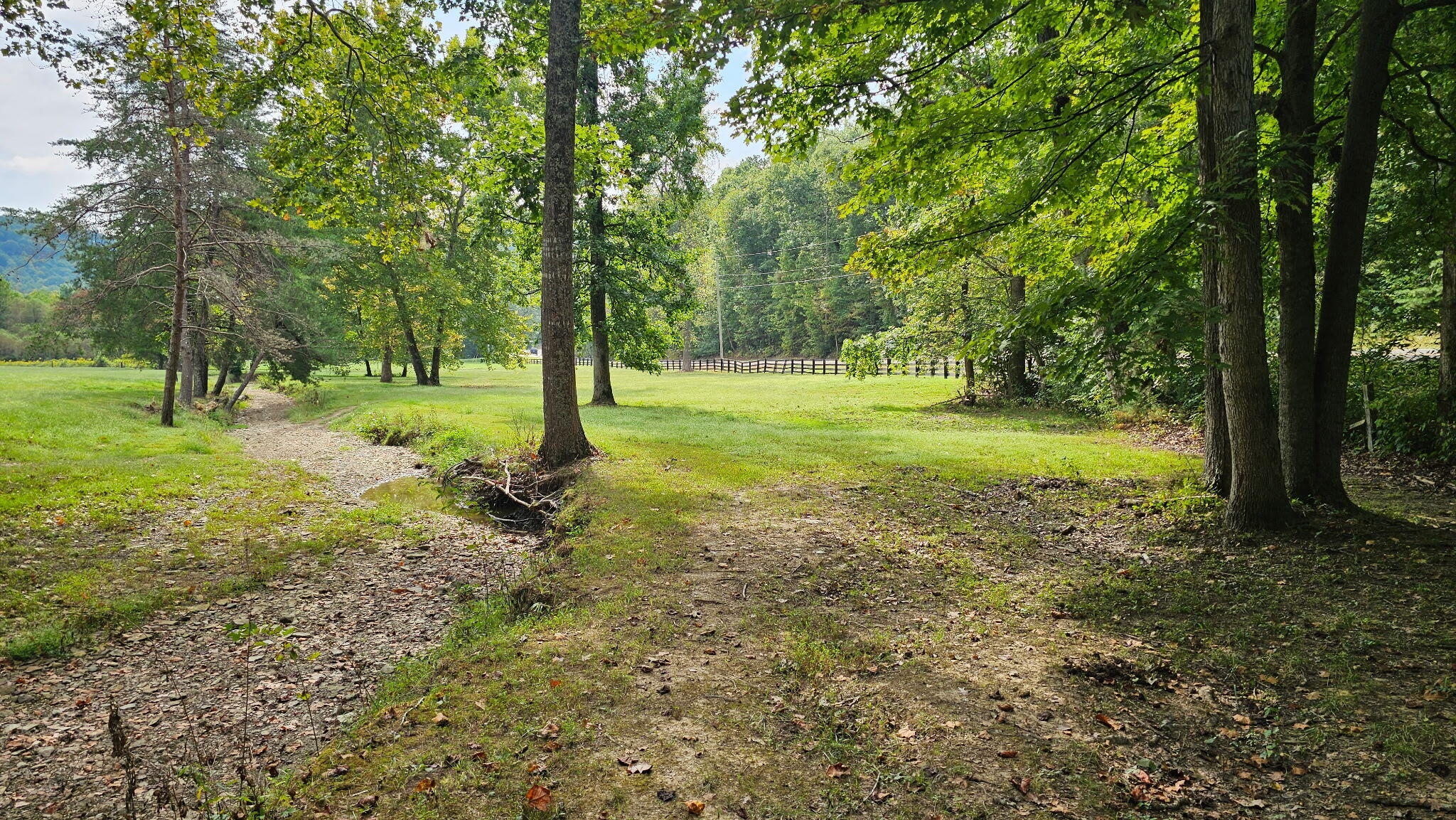 50 Caitlyn Court Property Photo 69