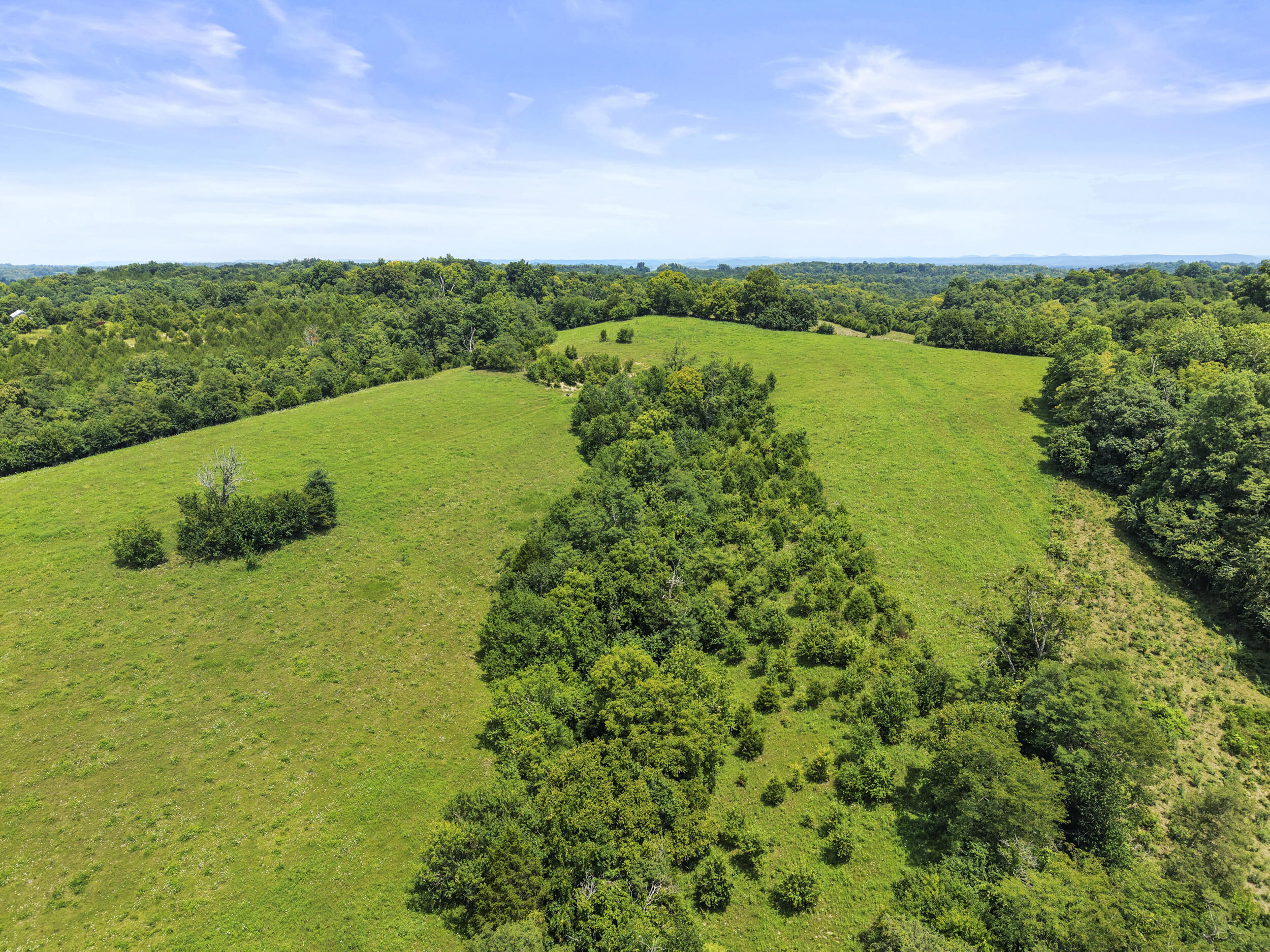 1875 White Oak Road Property Photo 50