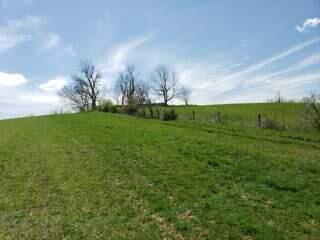 317 Cane Run Road Property Photo 2