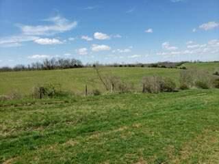 317 Cane Run Road Property Photo 4