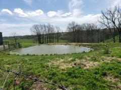 317 Cane Run Road Property Photo 6