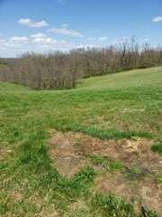 317 Cane Run Road Property Photo 8