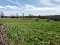 317 Cane Run Road Property Photo 10