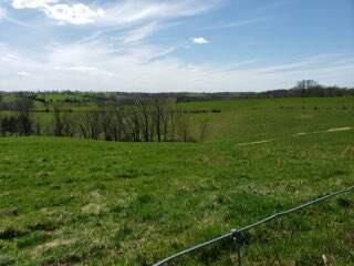 317 Cane Run Road Property Photo 11