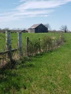 317 Cane Run Road Property Photo 12