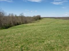 317 Cane Run Road Property Photo 13