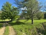 317 Cane Run Road Property Photo 19