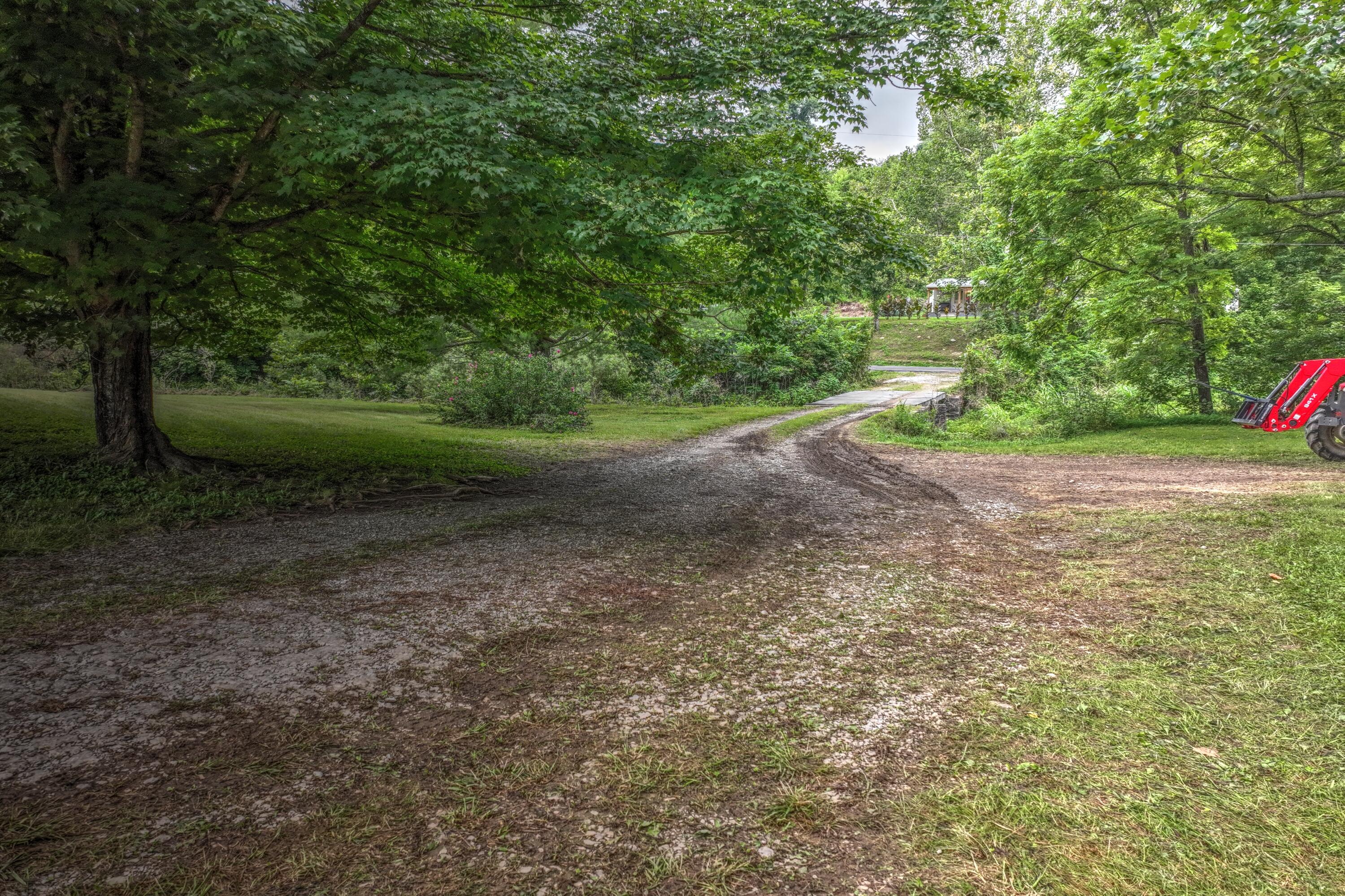 317 Cane Run Road Property Photo 59