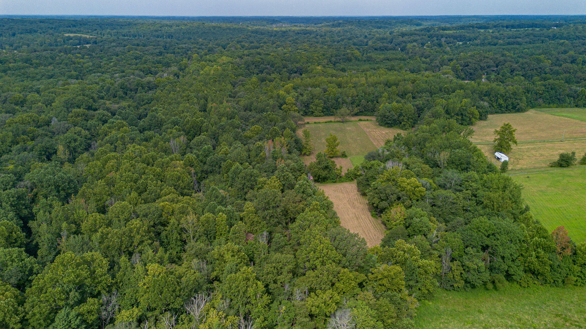 829 Poplar Springs Drive Property Photo 11