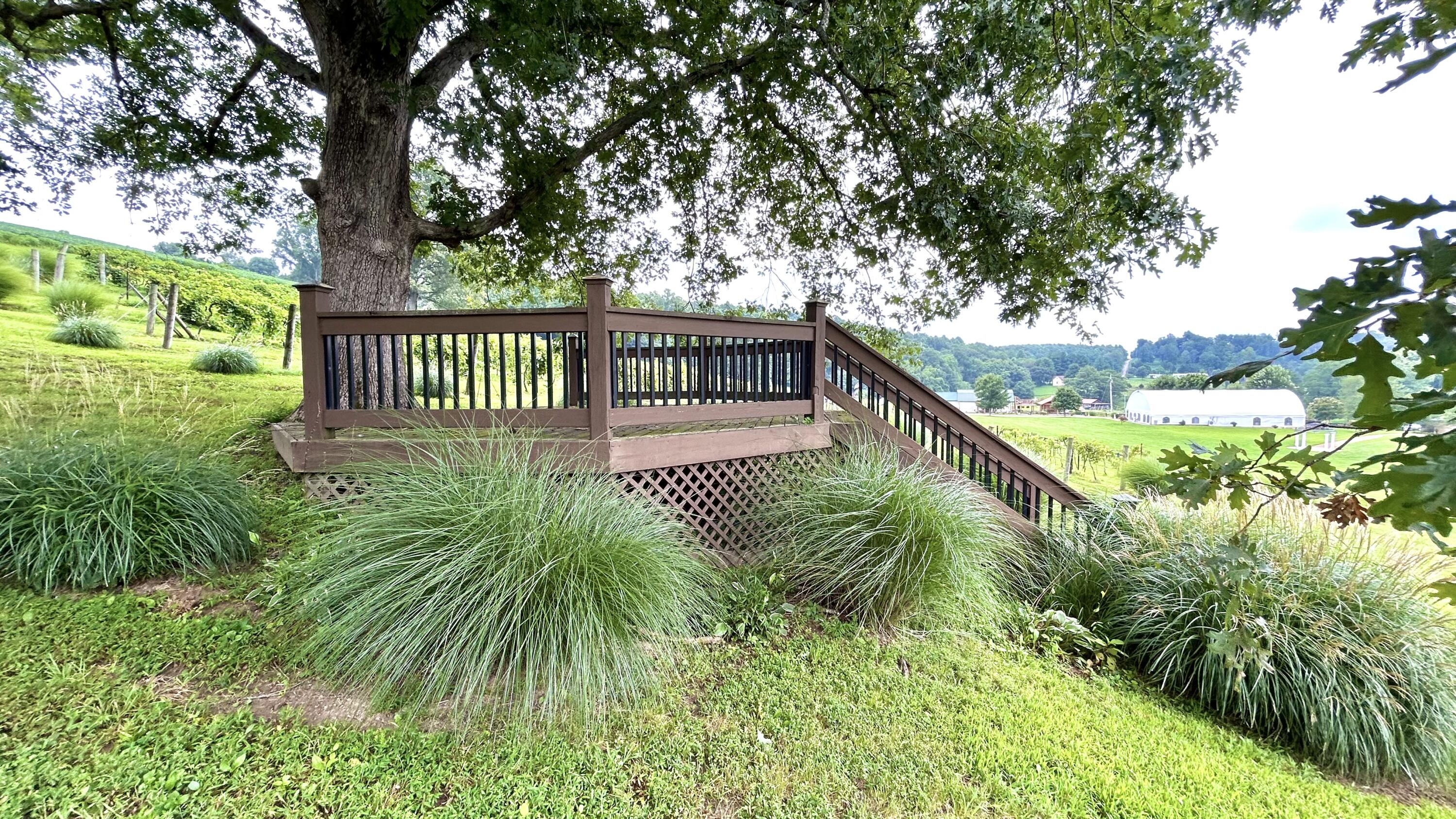 45 Cave Hill Way Property Photo 19