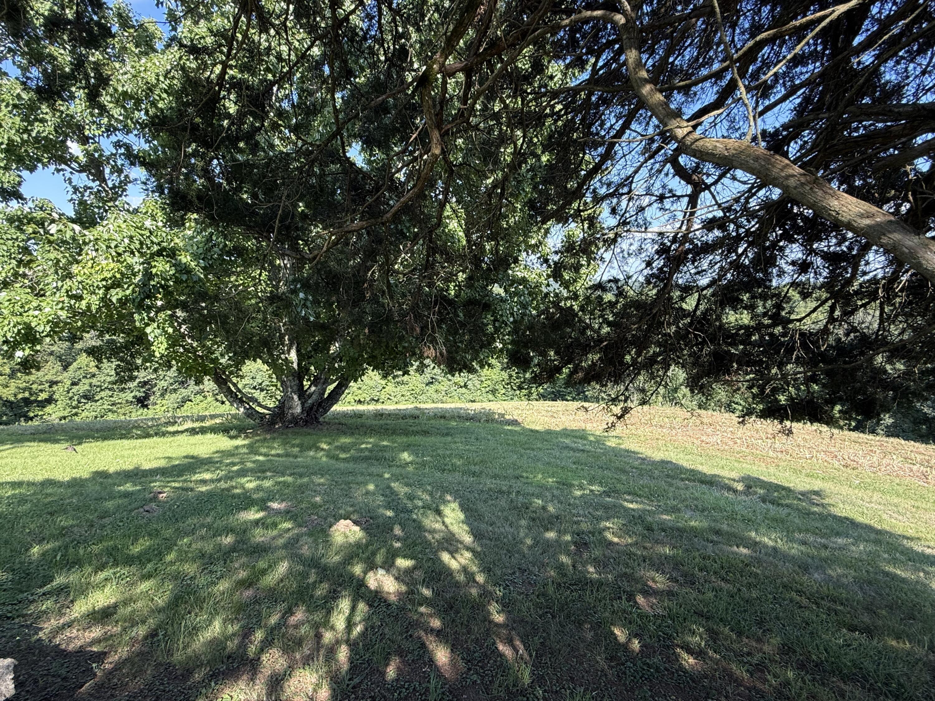 875 S Bluelicks Pike Road Property Photo 10