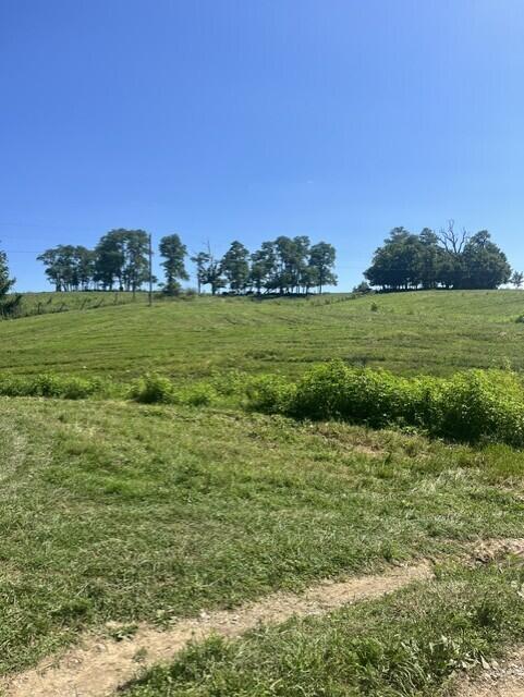 1699 Gillispie Road Property Photo 2