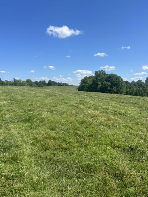 1699 Gillispie Road Property Photo 3