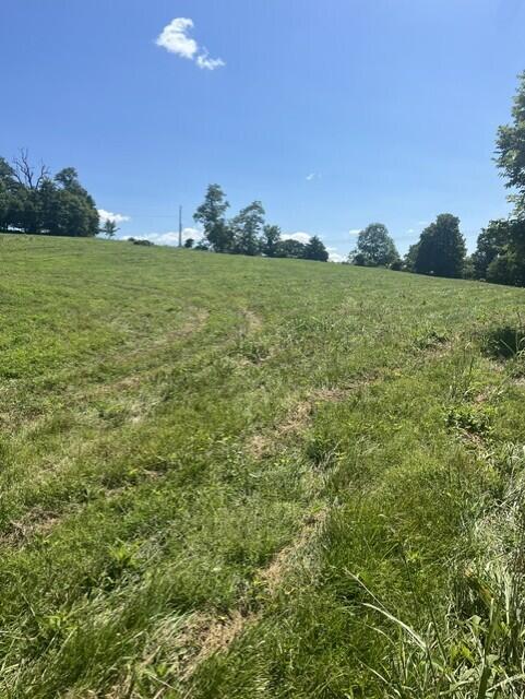 1699 Gillispie Road Property Photo 4