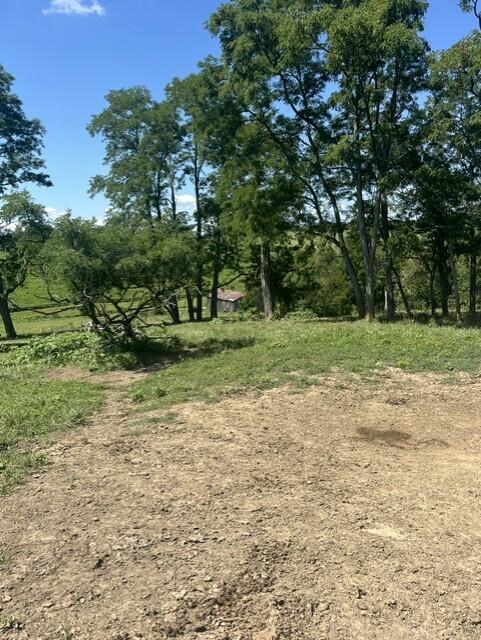1699 Gillispie Road Property Photo 14