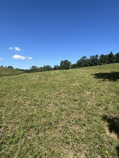 1699 Gillispie Road Property Photo 15