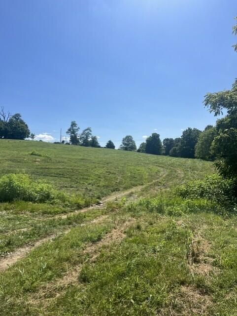 1699 Gillispie Road Property Photo 17