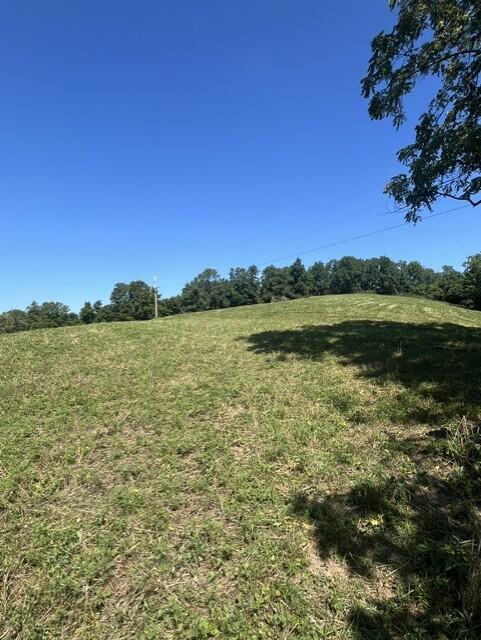 1699 Gillispie Road Property Photo 19