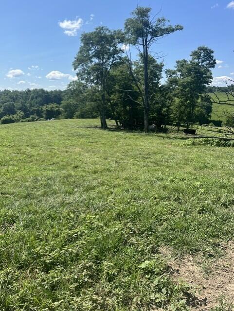 1699 Gillispie Road Property Photo 20
