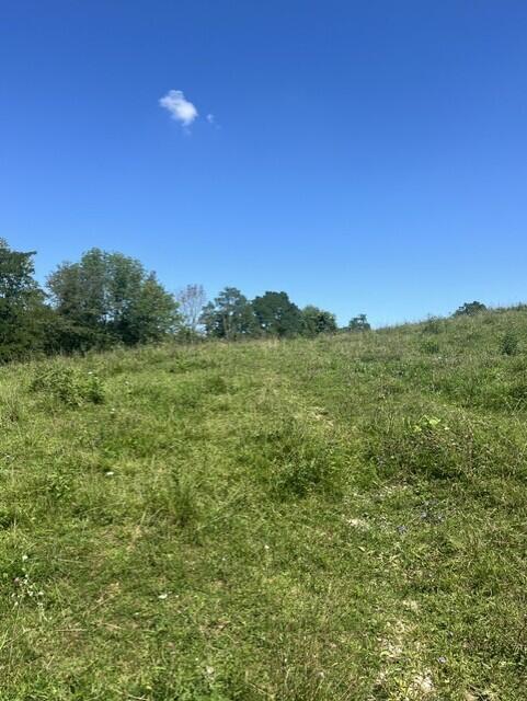 1699 Gillispie Road Property Photo 21