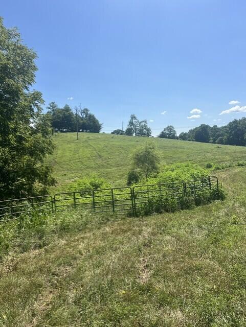 1699 Gillispie Road Property Photo 23
