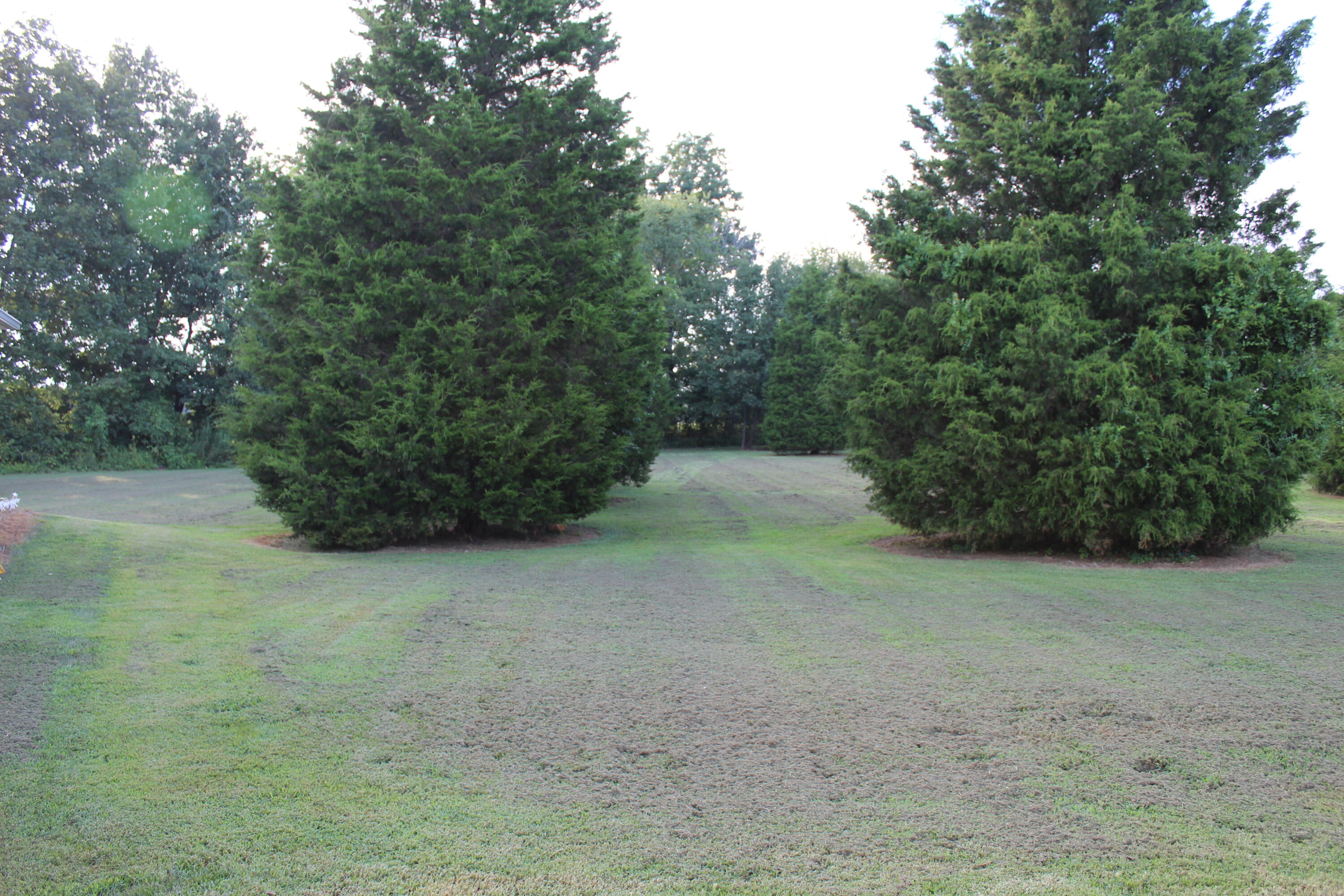 105 Cedar Creek Cove Property Photo 30