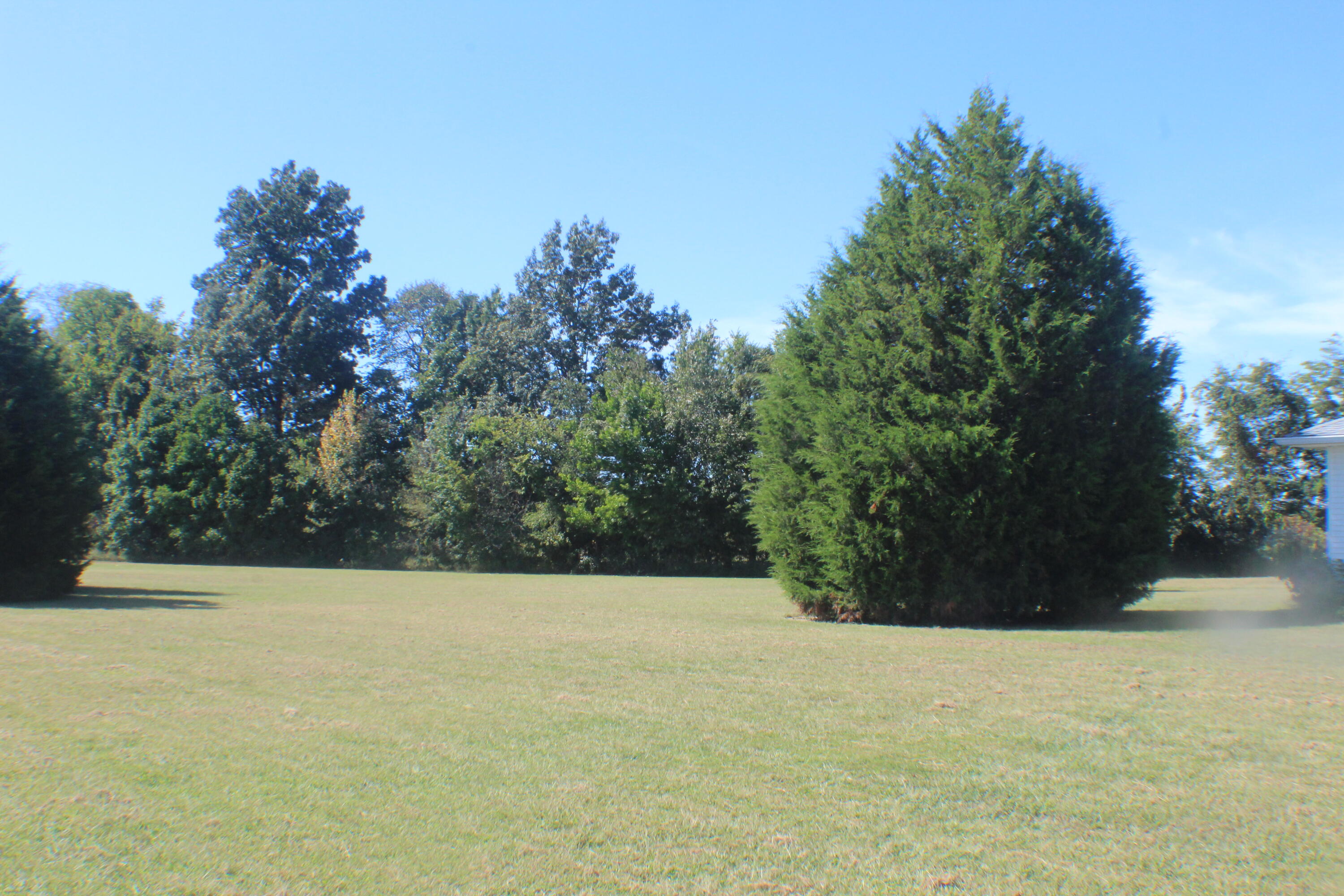 105 Cedar Creek Cove Property Photo 32