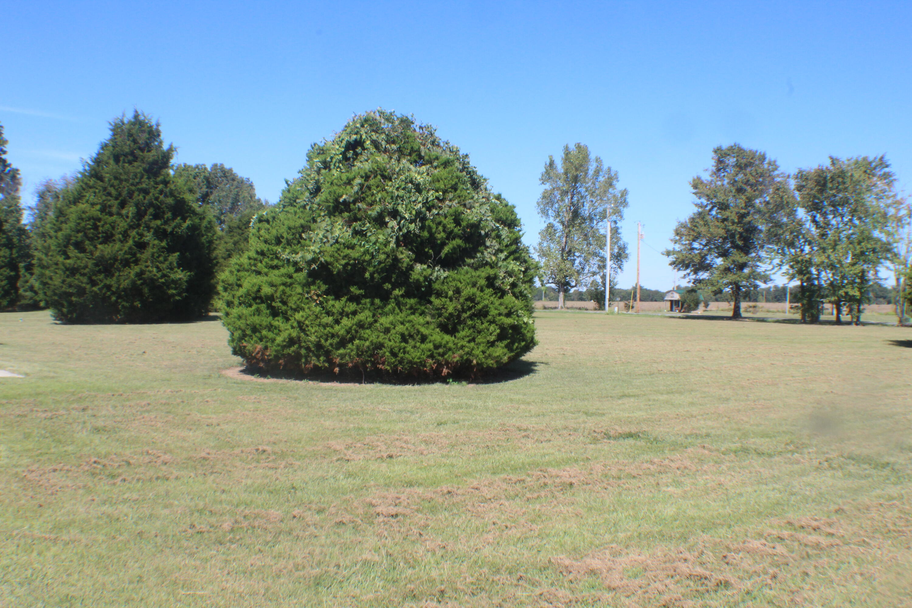 105 Cedar Creek Cove Property Photo 33