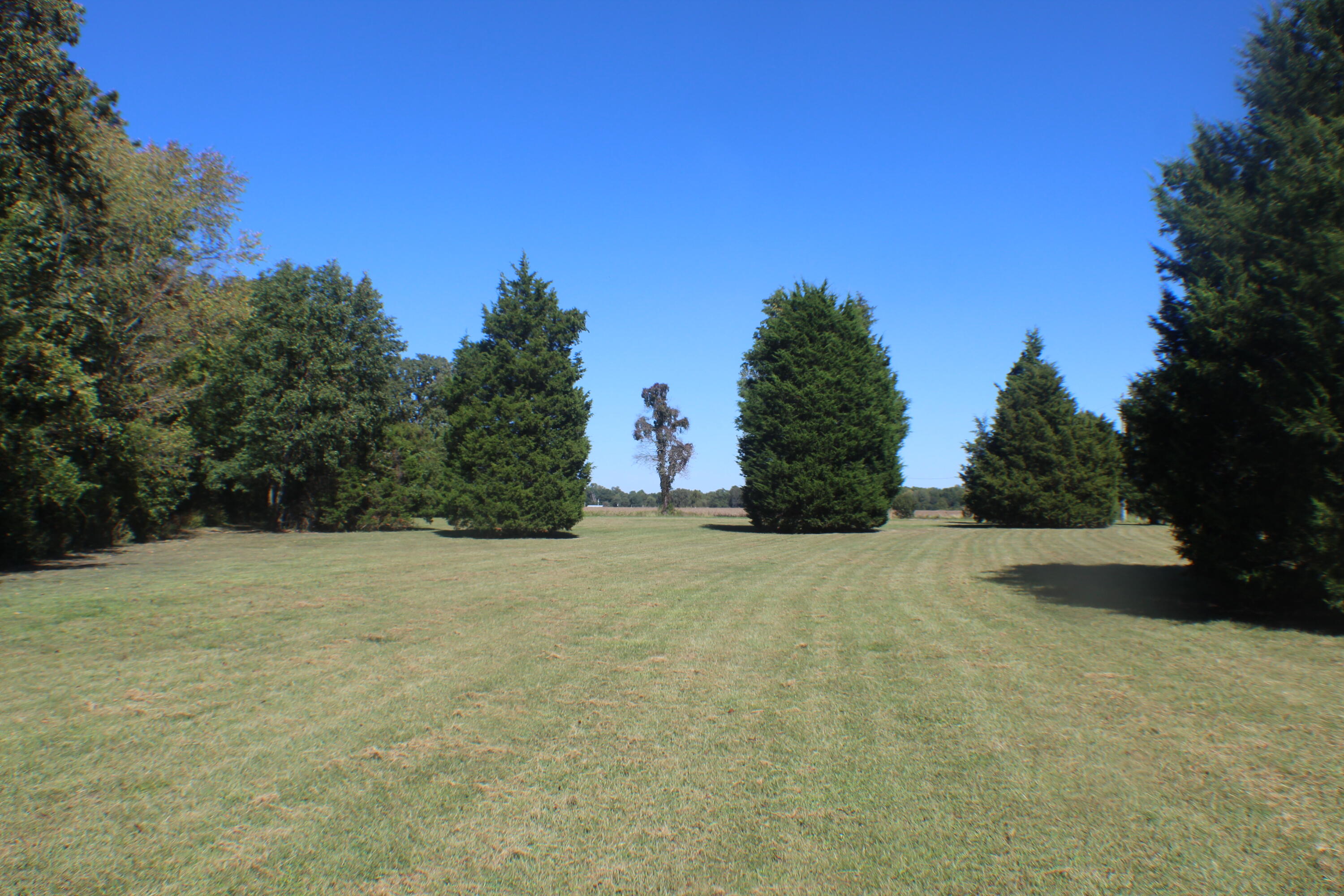 105 Cedar Creek Cove Property Photo 37