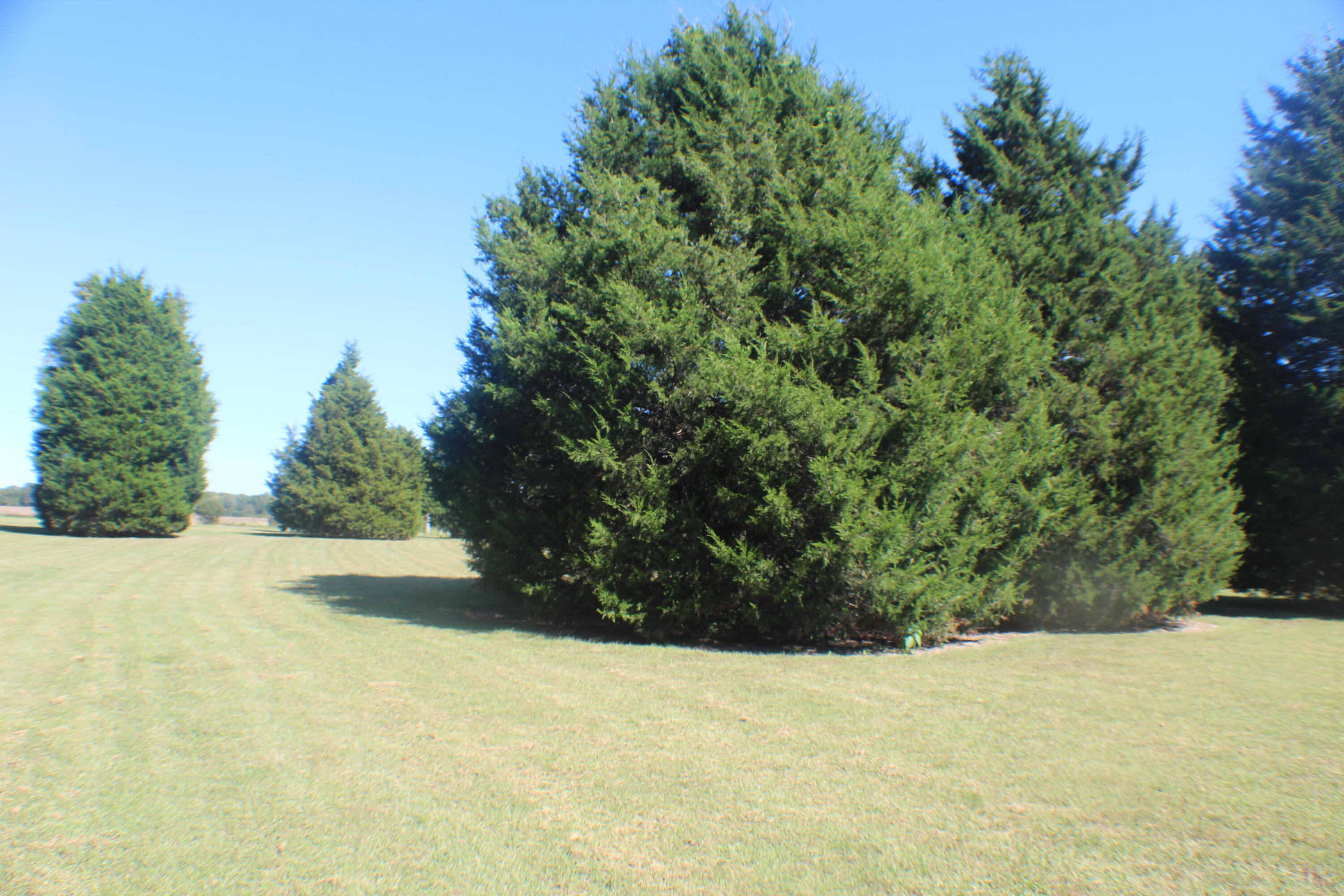 105 Cedar Creek Cove Property Photo 38