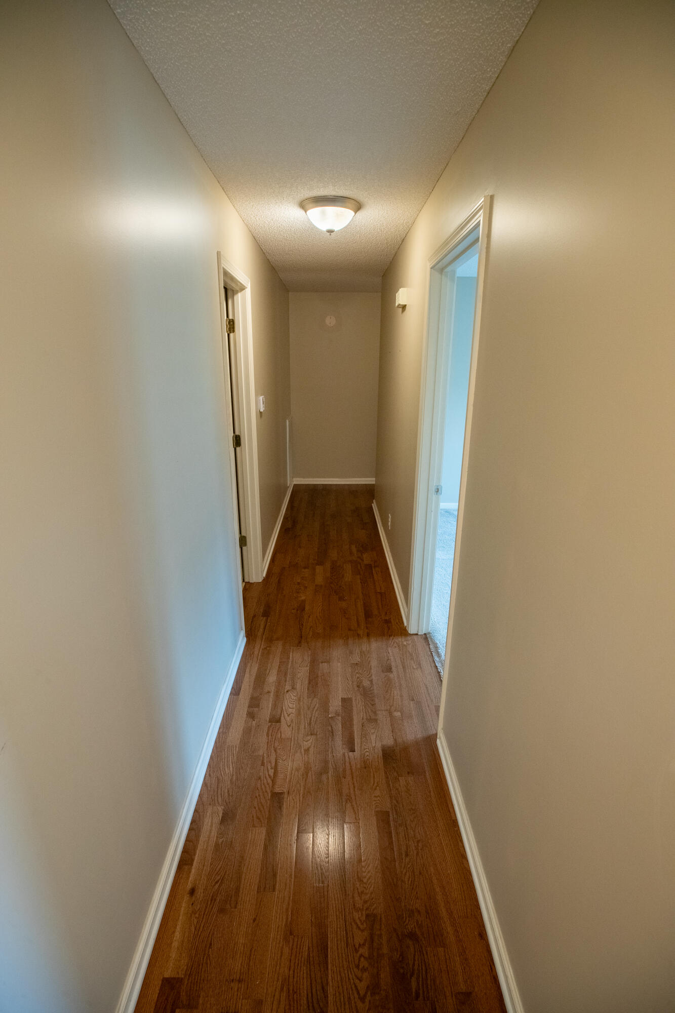 2202 Brookhaven Drive Property Photo 12
