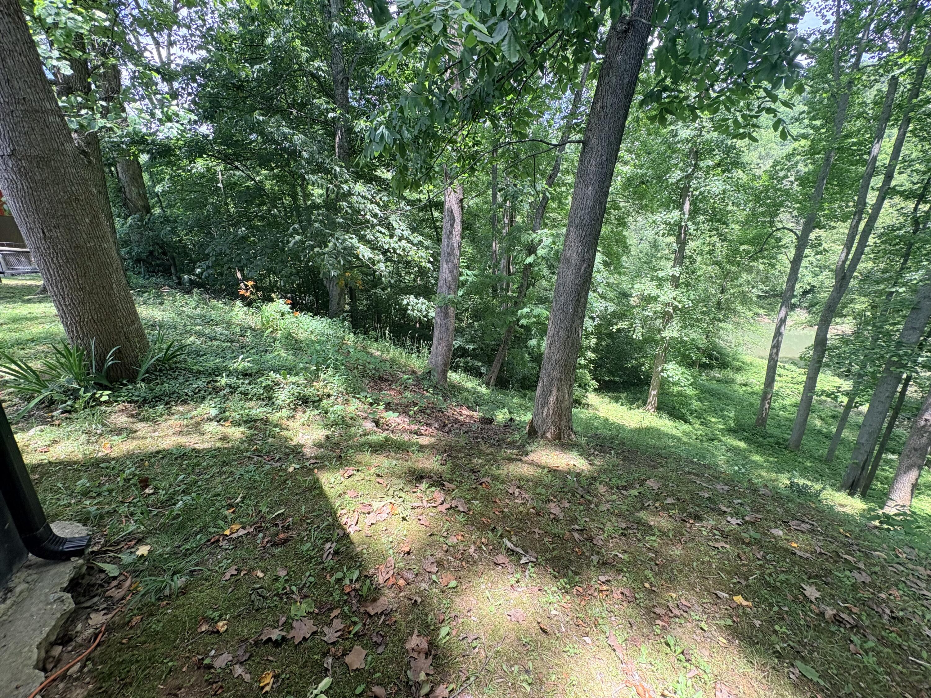 139 Kilbreth Lane Property Photo 44