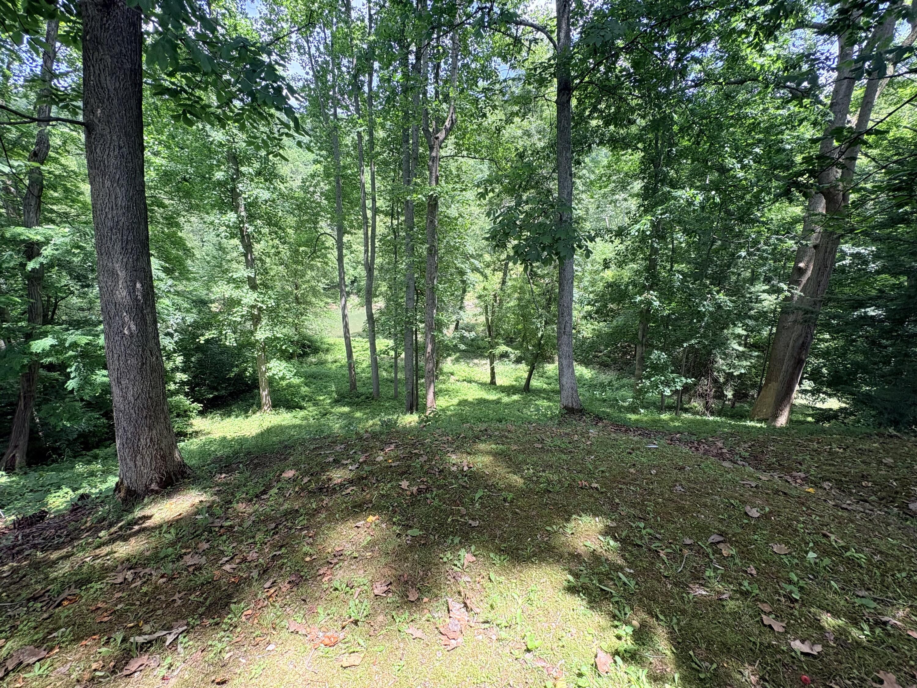 139 Kilbreth Lane Property Photo 45