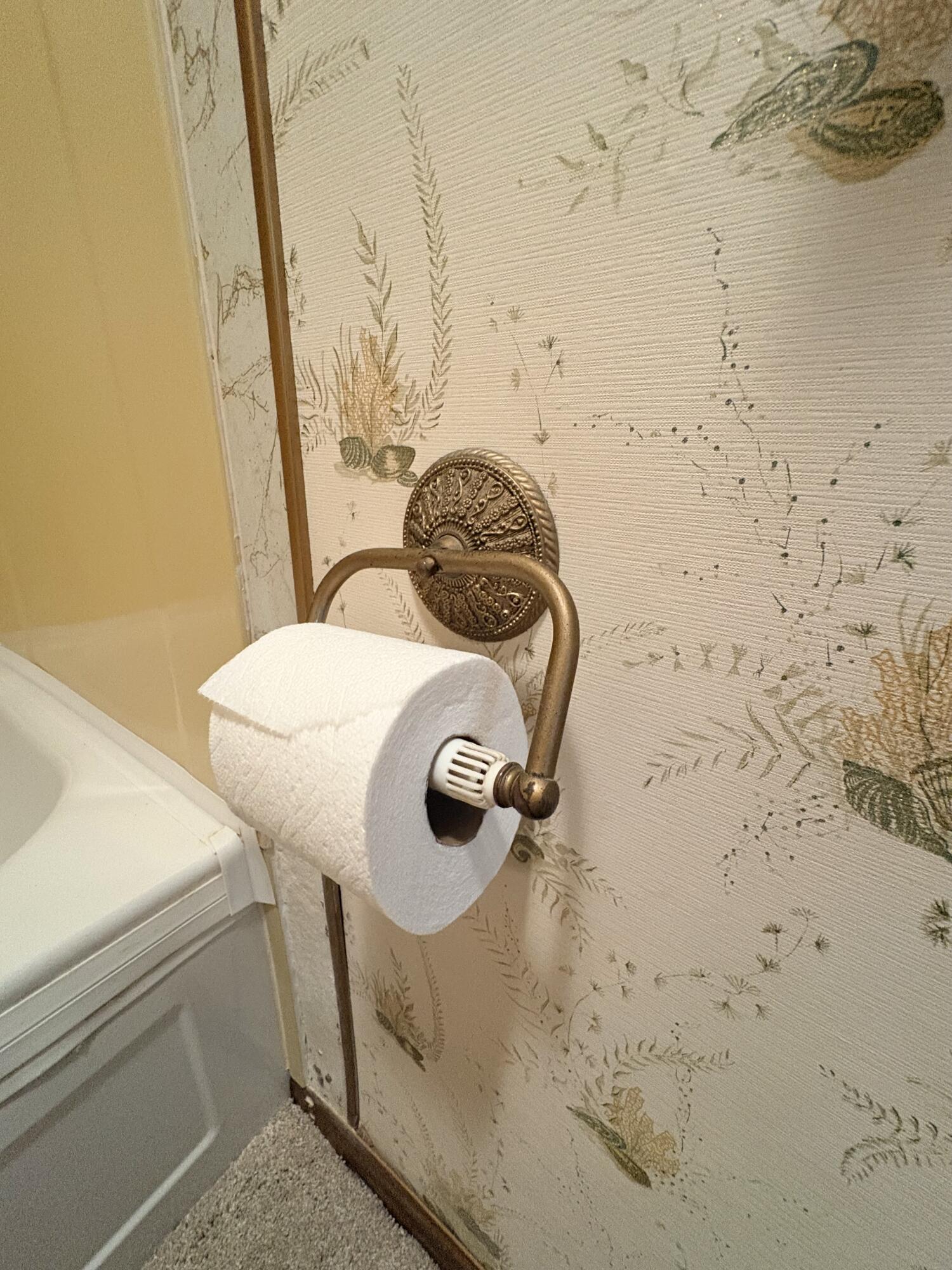 139 Kilbreth Lane Property Photo 63
